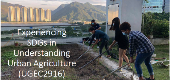 Virtual field trips to urban agriculture experiences around HK and CUHK campus